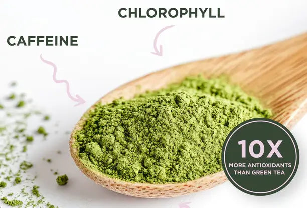Matcha Magic: From Zen Temples to TikTok Lattes